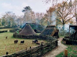 Early Medieval Farm